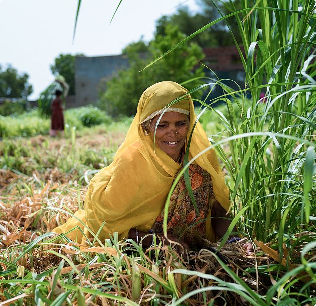 Samadhan: Sustainable Livelihoods